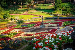 Ecotours - Doi Tung Lodge (Mae Fa Luang)