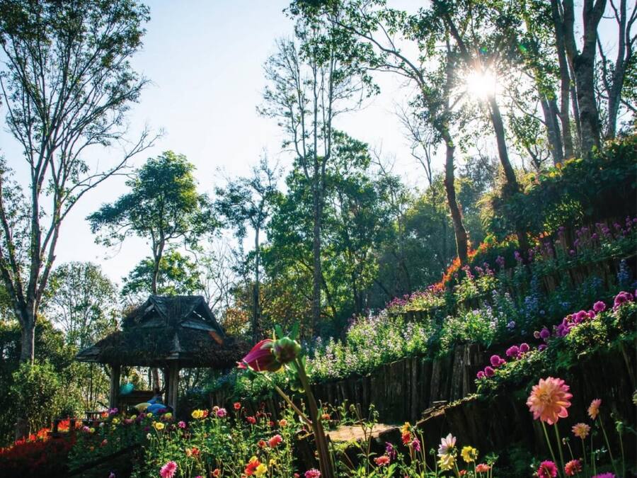 A garden with a wooden structure, surrounded by various colorful flowers and tall trees.