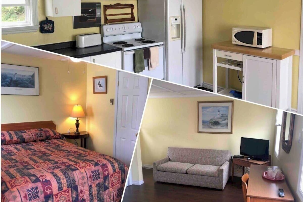 Une pièce de taille modeste comprenant un lit, un canapé, une petite table, un four à micro-ondes, un réfrigérateur et une cuisinière.