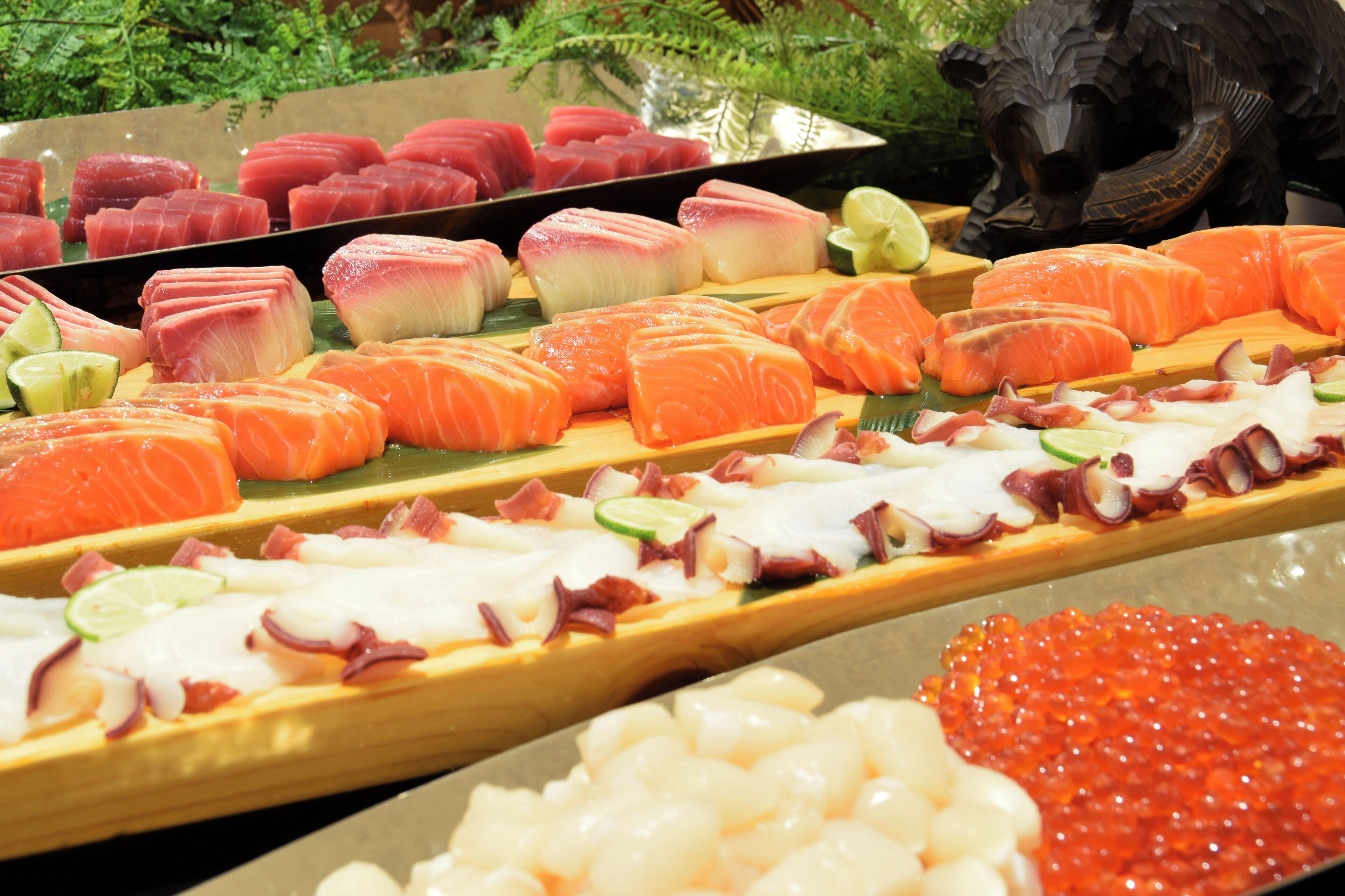 A variety of sushi platters with different types of fish and garnishes.
