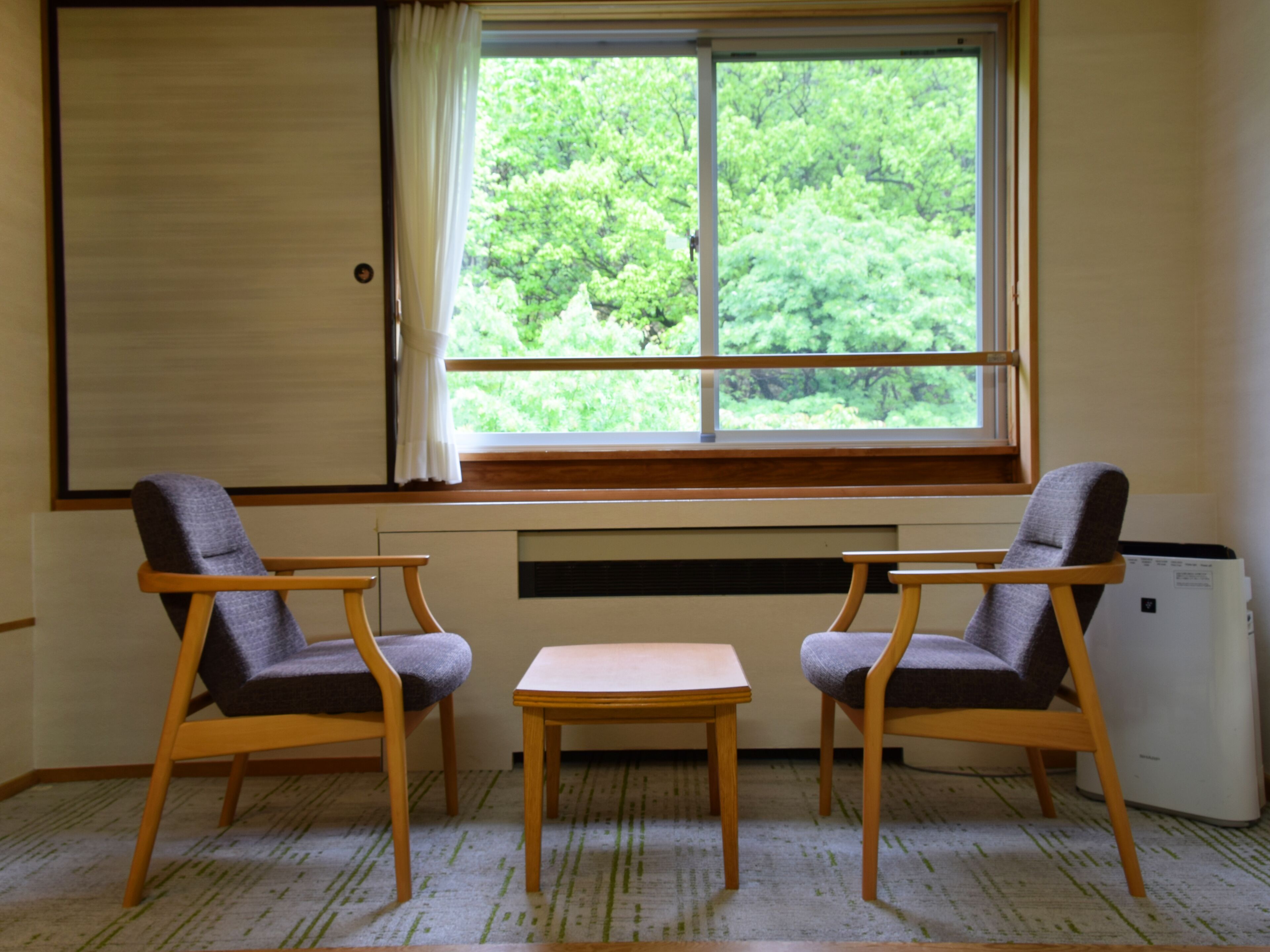 A room with two wooden chairs and a small table, a window with a view of green trees, and a radiator on the wall.