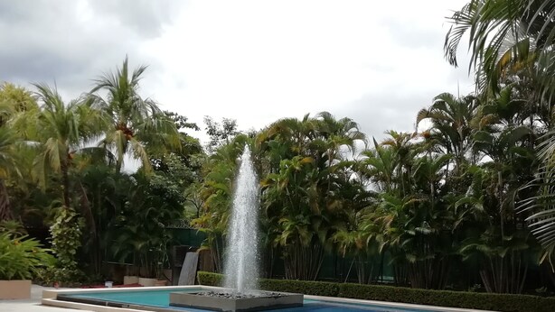 A swimming pool with a water fountain, surrounded by palm trees and a clear sky.
