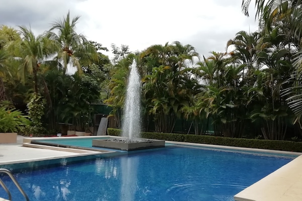 Outdoor pool, pool loungers