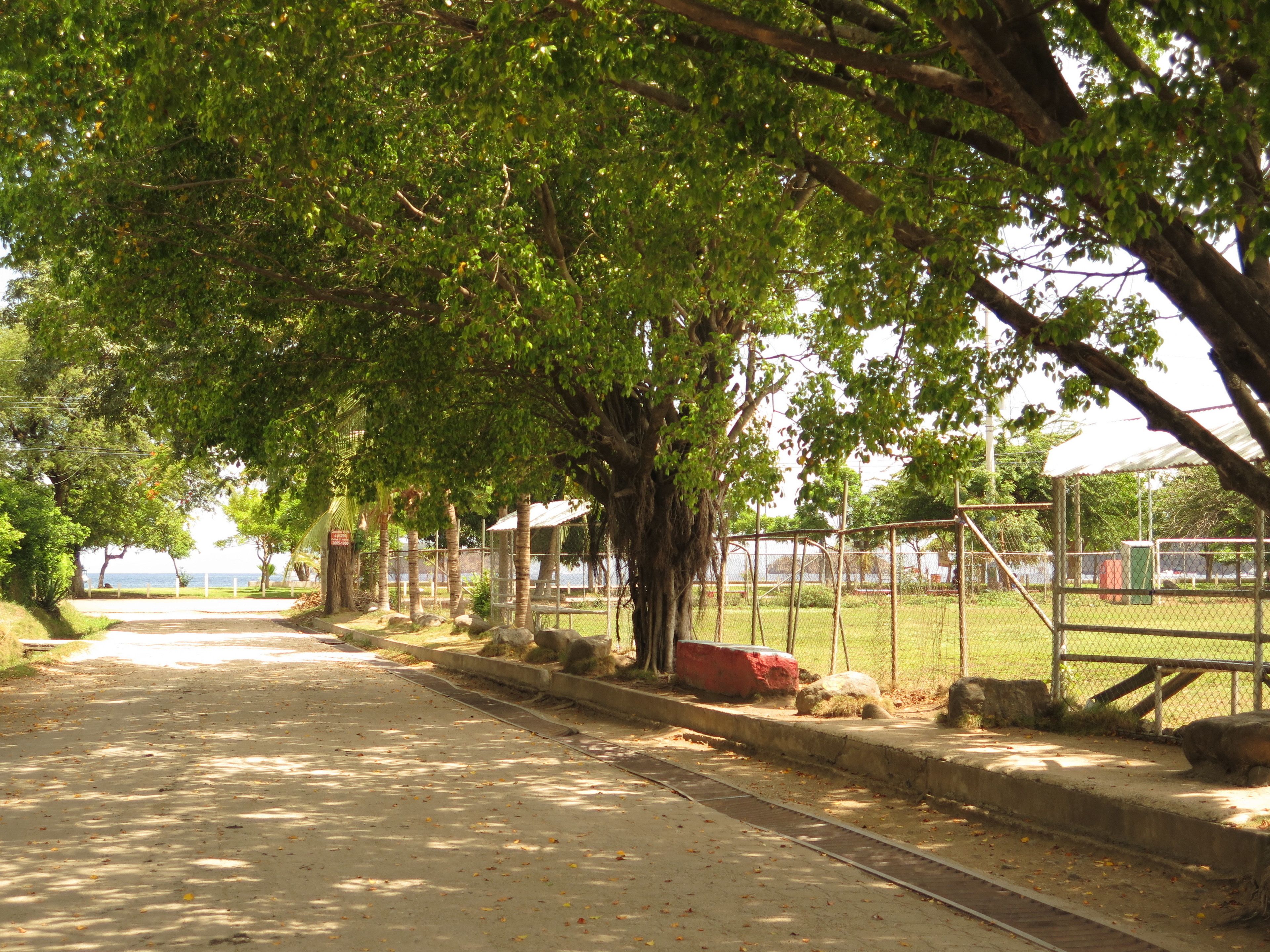 A paved pathway leading to a fenced area with trees and a view of the sea.