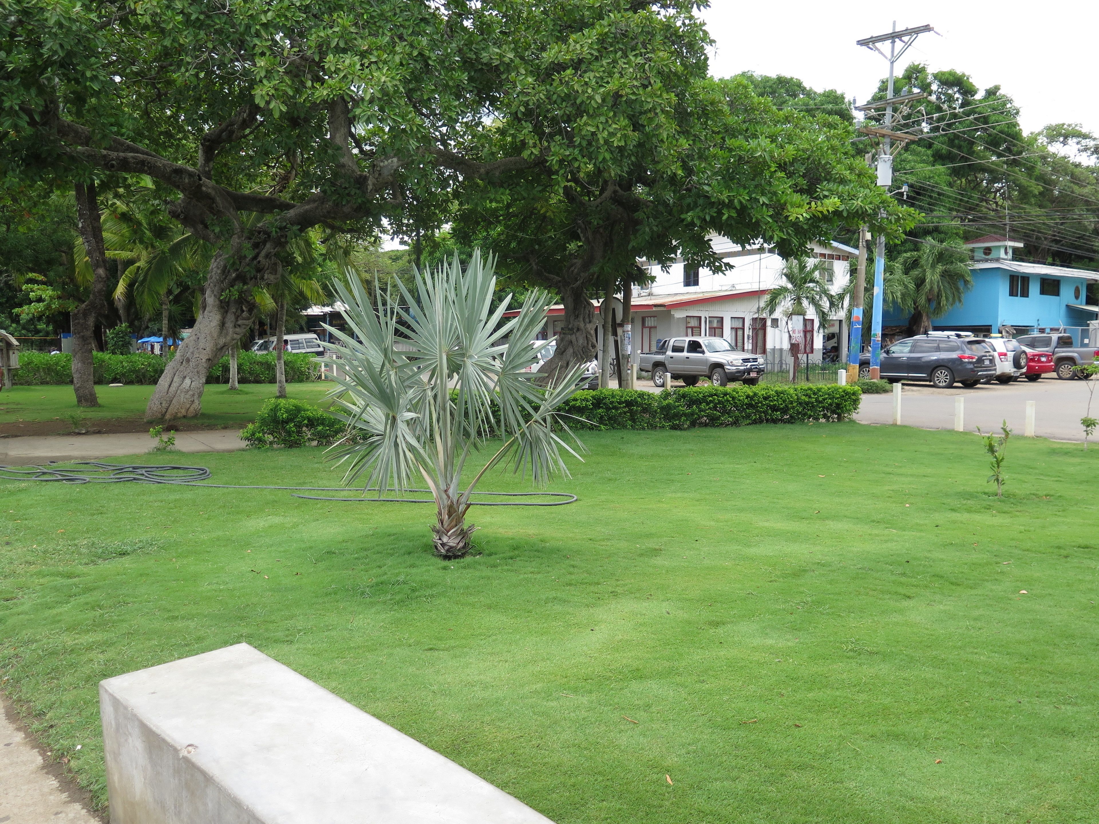 Plage à proximité, sable noir
