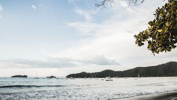 Playa en los alrededores y playa de arena negra