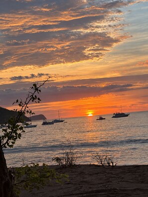 شاطئ