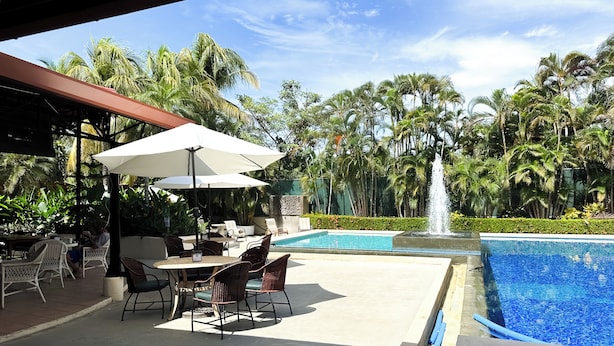 A pool area with lounge chairs and umbrellas, surrounded by lush greenery and palm trees.