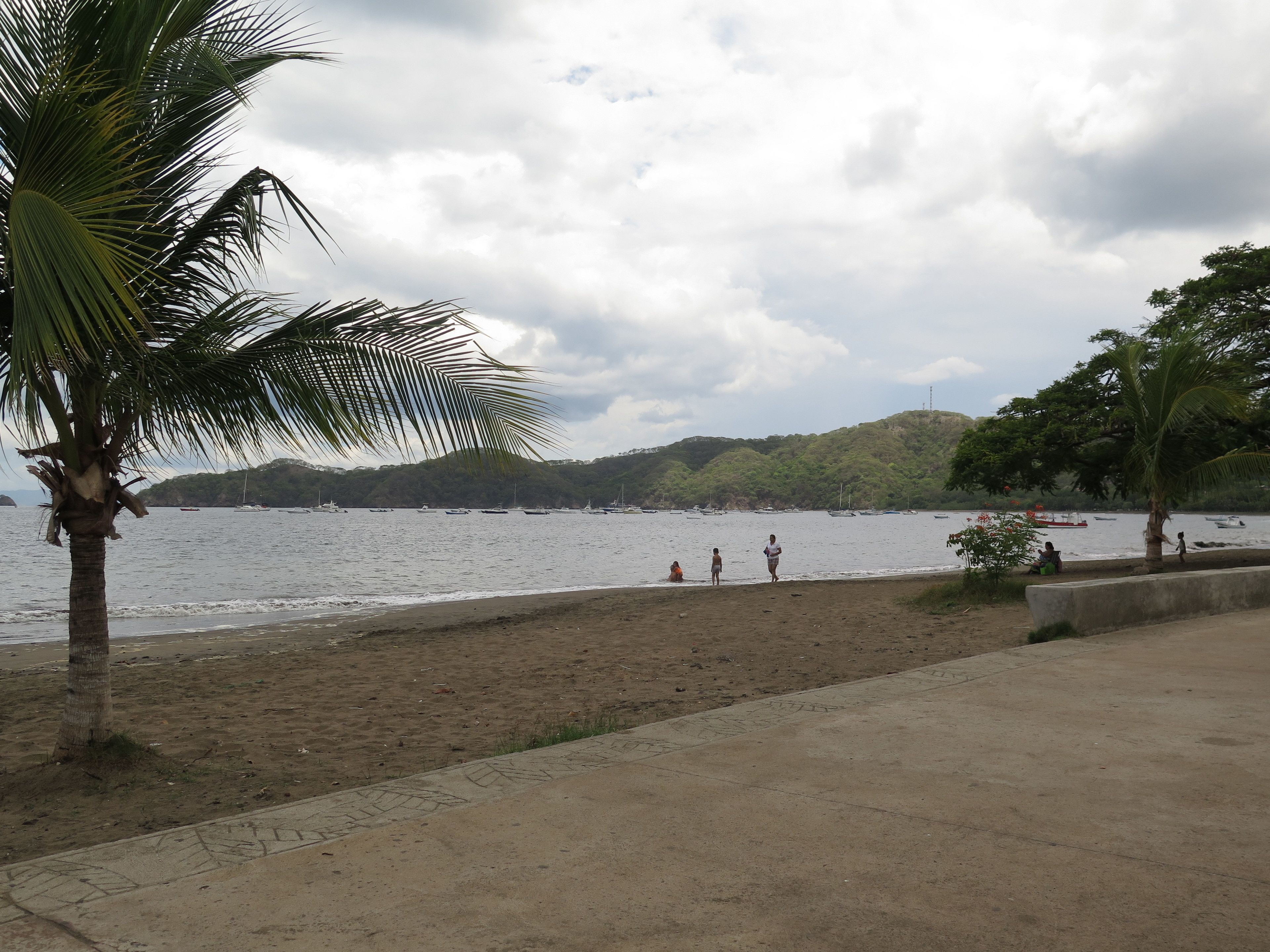 Una playa con una palmera, un paseo marítimo de concreto y vista al agua con barcos.