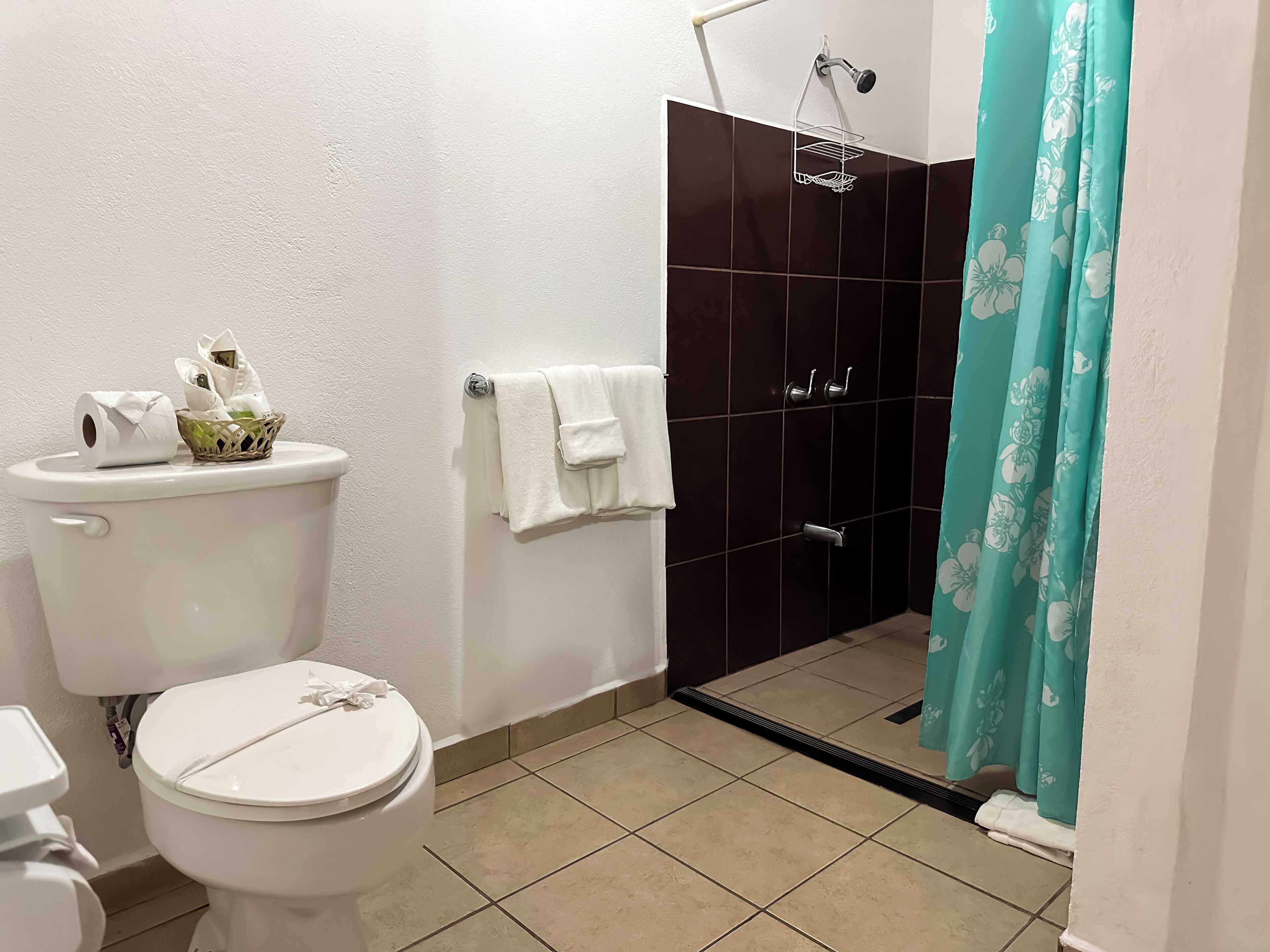 Een badkamer met toilet, douche en wastafel.
