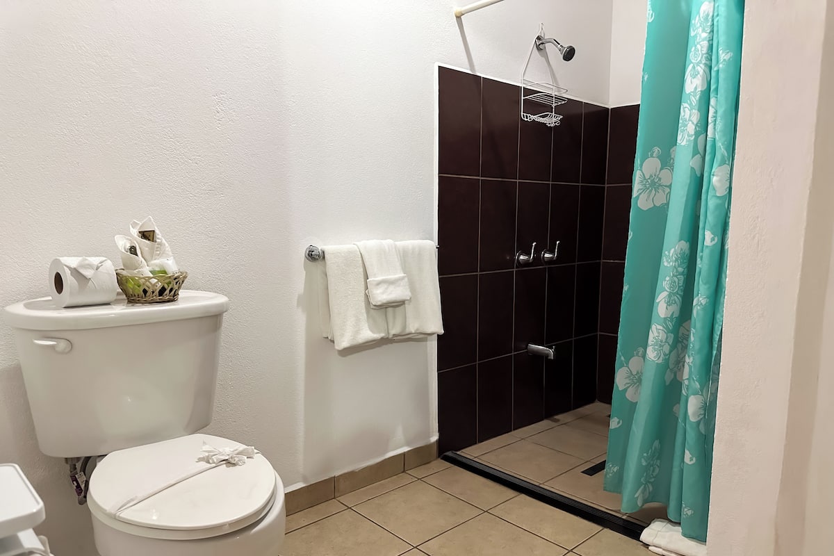 Shower, free toiletries, hair dryer, towels