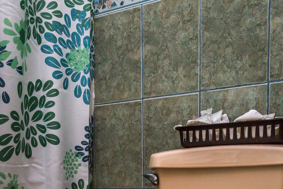 Shower, free toiletries, hair dryer, towels