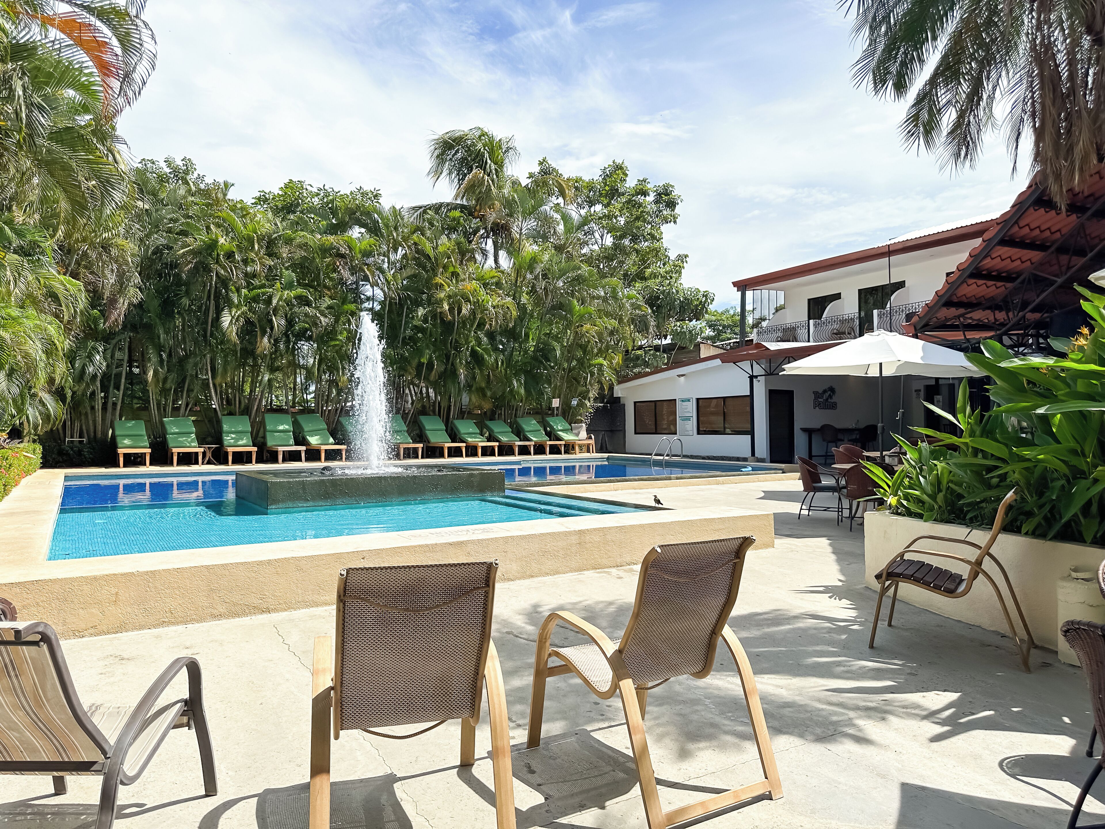 室外游泳池，日光浴躺椅