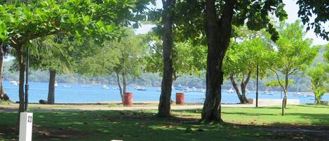 Un parque con árboles y vistas a barcos en el agua.