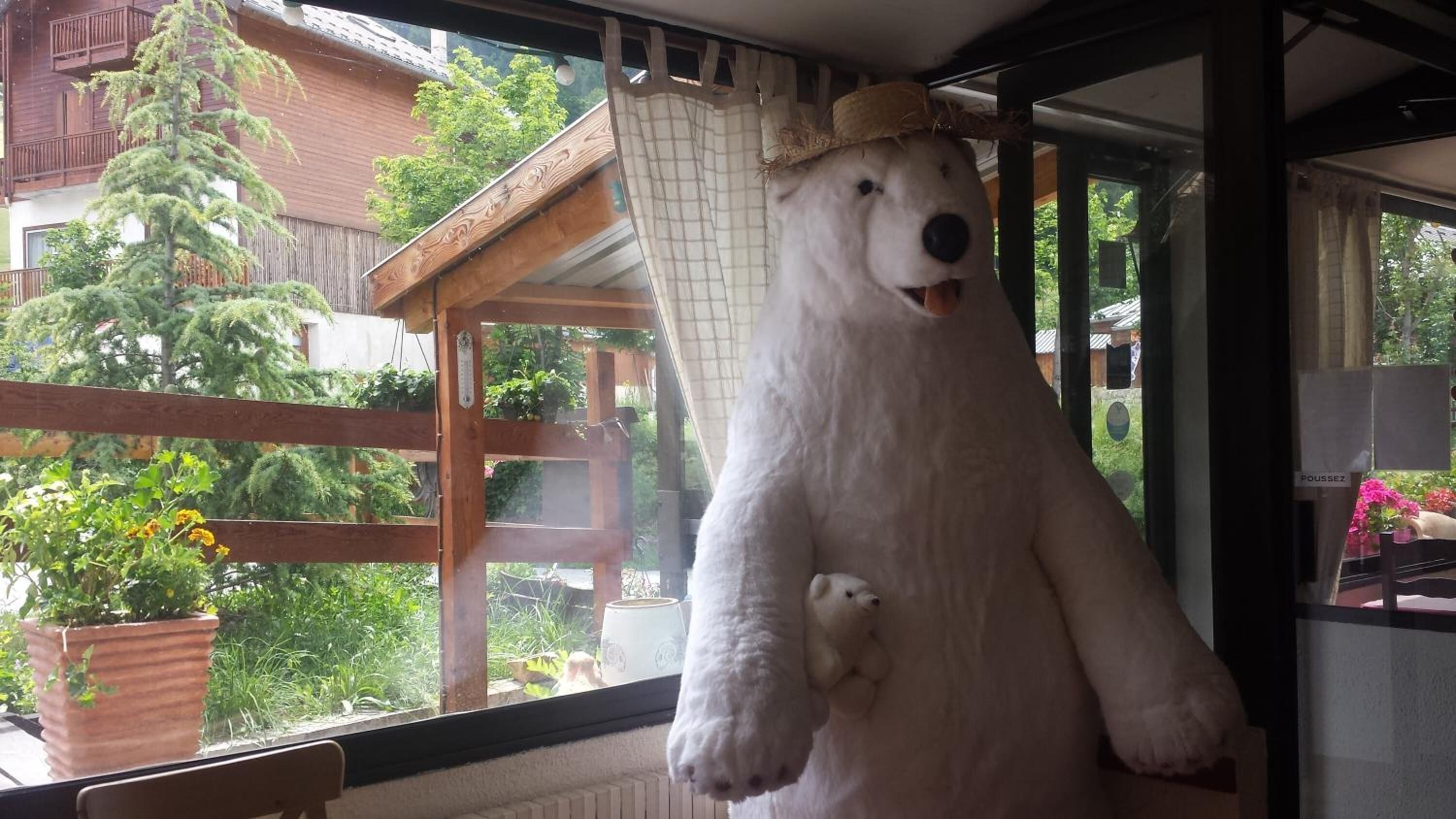 lunch and dinner served, local cuisine