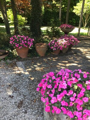 บริเวณที่พัก