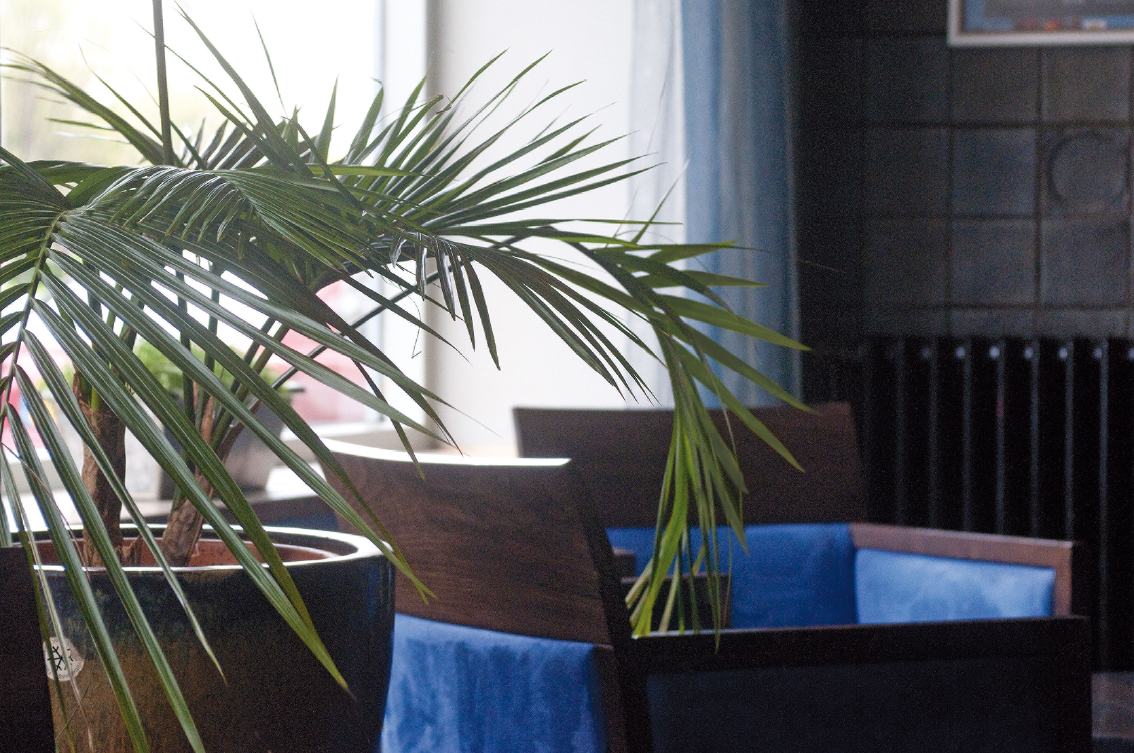 Foto - City Partner Hotel Ter Streep