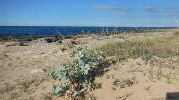 Beach nearby, beach volleyball