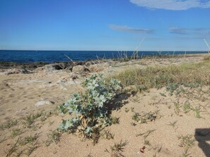 Beach nearby, beach volleyball - Residence Club Barbara (Ostuni)
