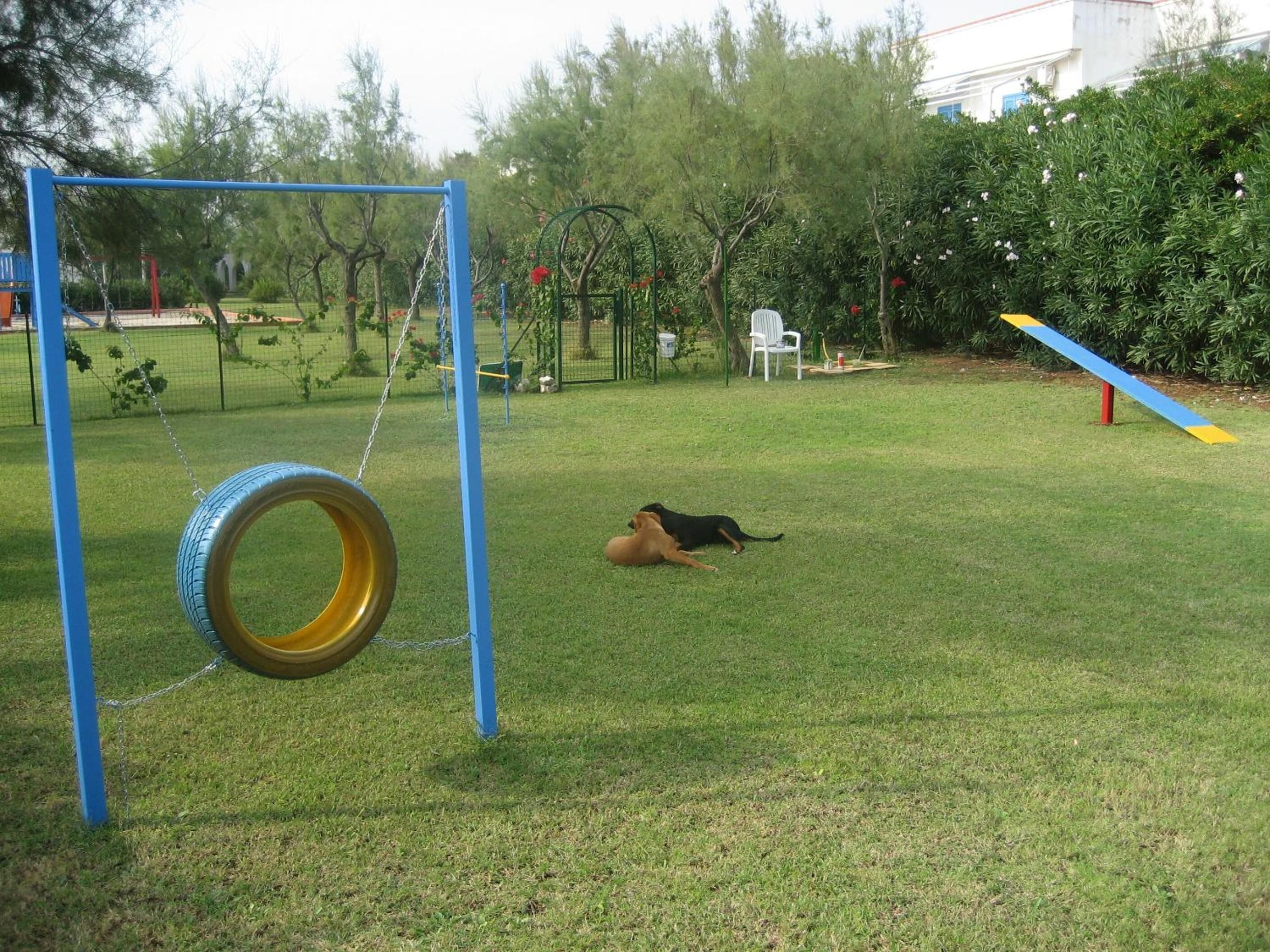 A grassy outdoor area with a tire swing, a dog lying on the grass, and a blue and yellow slide.