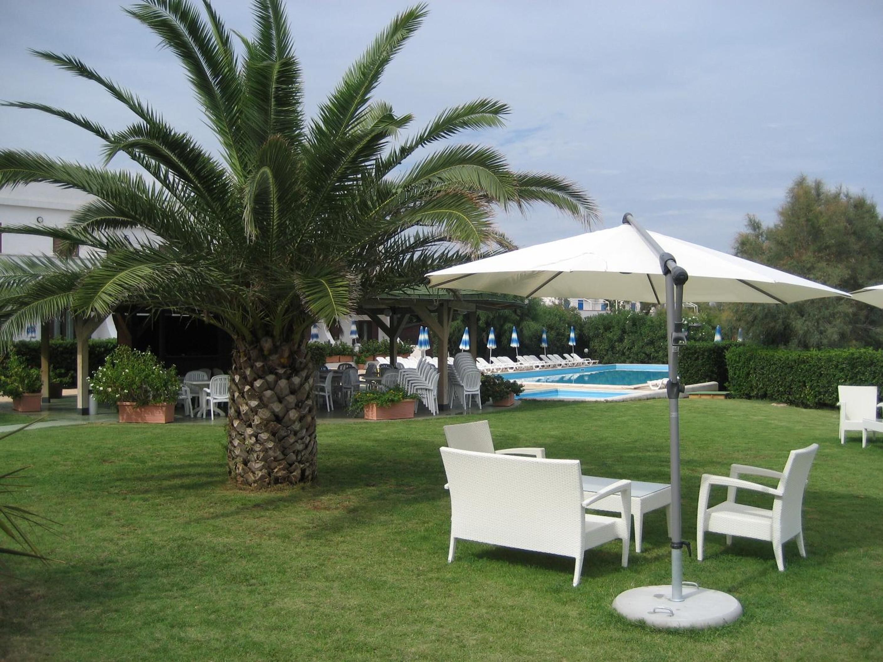 Een zwembadterras met witte ligstoelen, een palmboom en een overdekt zitgedeelte met parasols.