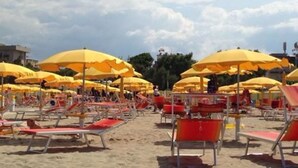 Una playa con filas de tumbonas y sombrillas amarillas.