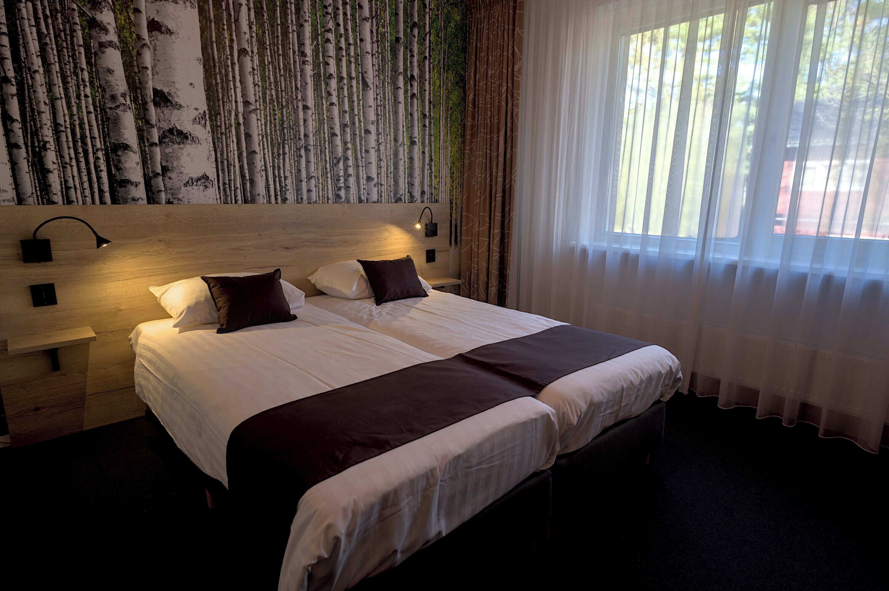 Chambre Standard avec lits jumeaux | Bureau, rideaux occultants, Wi-Fi gratuit, draps fournis