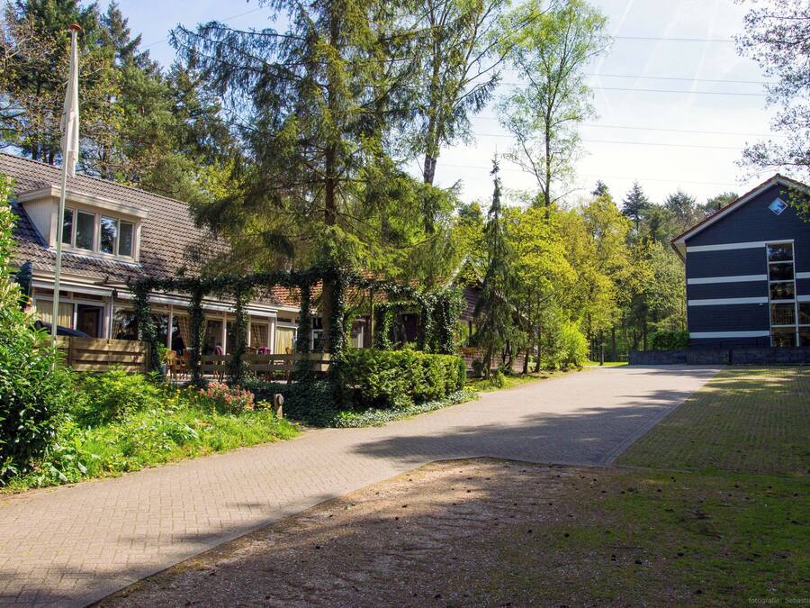 Una calle residencial con casas, un sendero pavimentado y abundante vegetación.