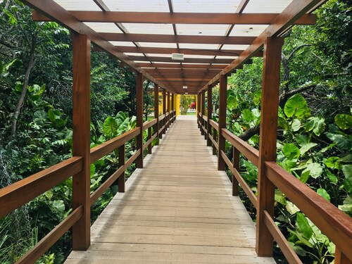 Transoceânico Praia Hotel