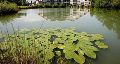 Hotel Golf Brunssummerheide