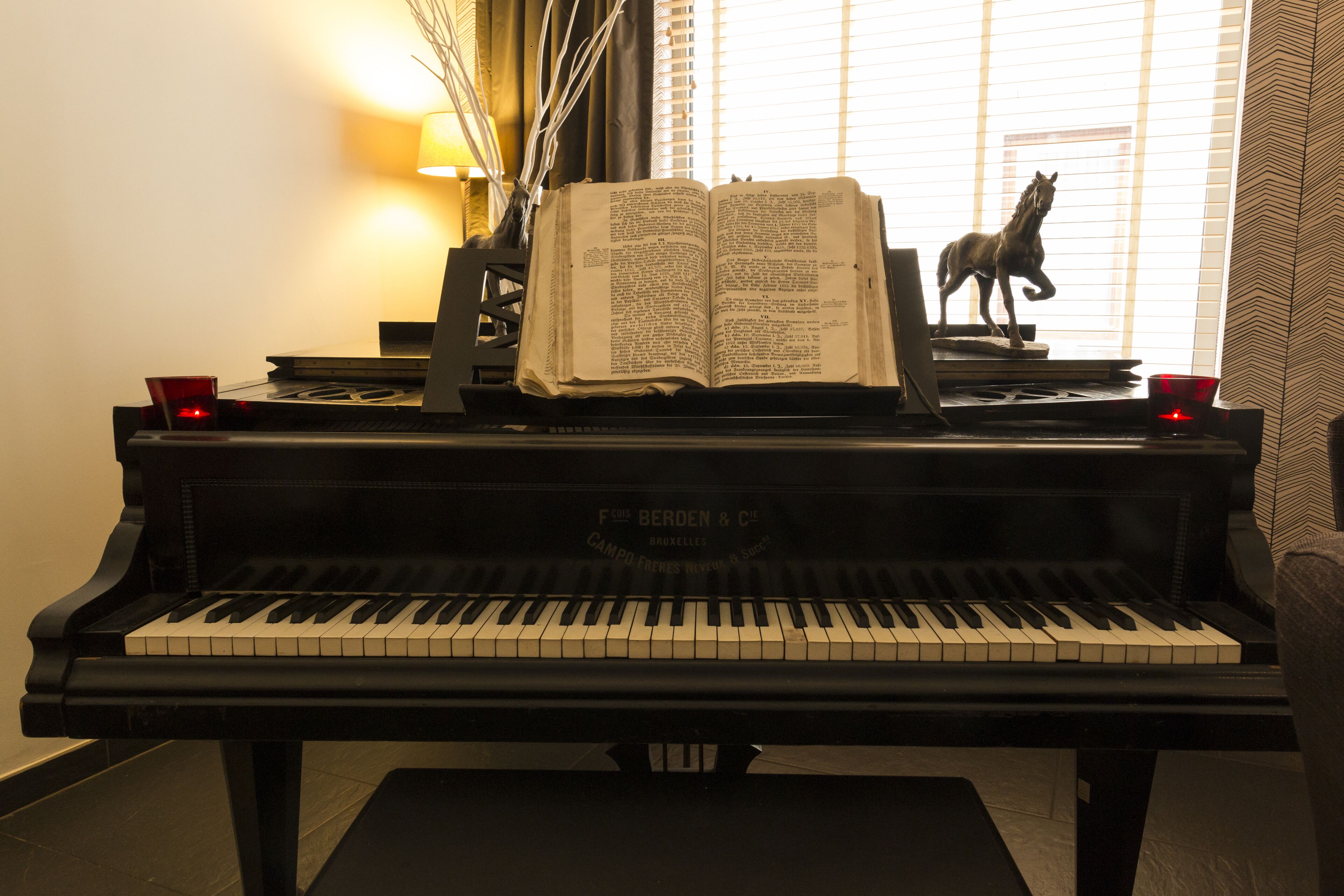 Photo - 3 Paardekens - City Centre Hotel