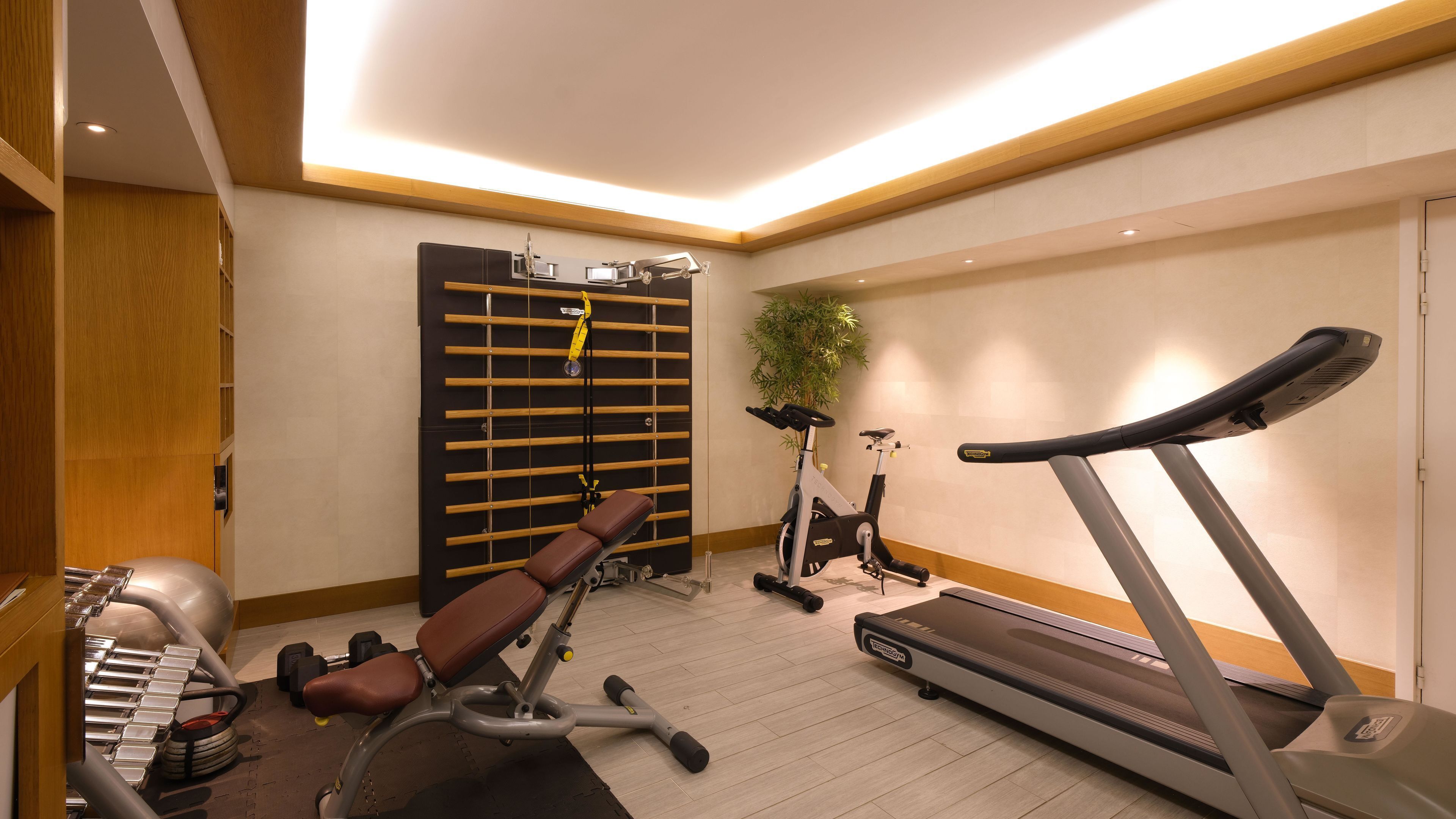 Uma academia em casa com esteira, bicicleta ergométrica e banco de musculação.