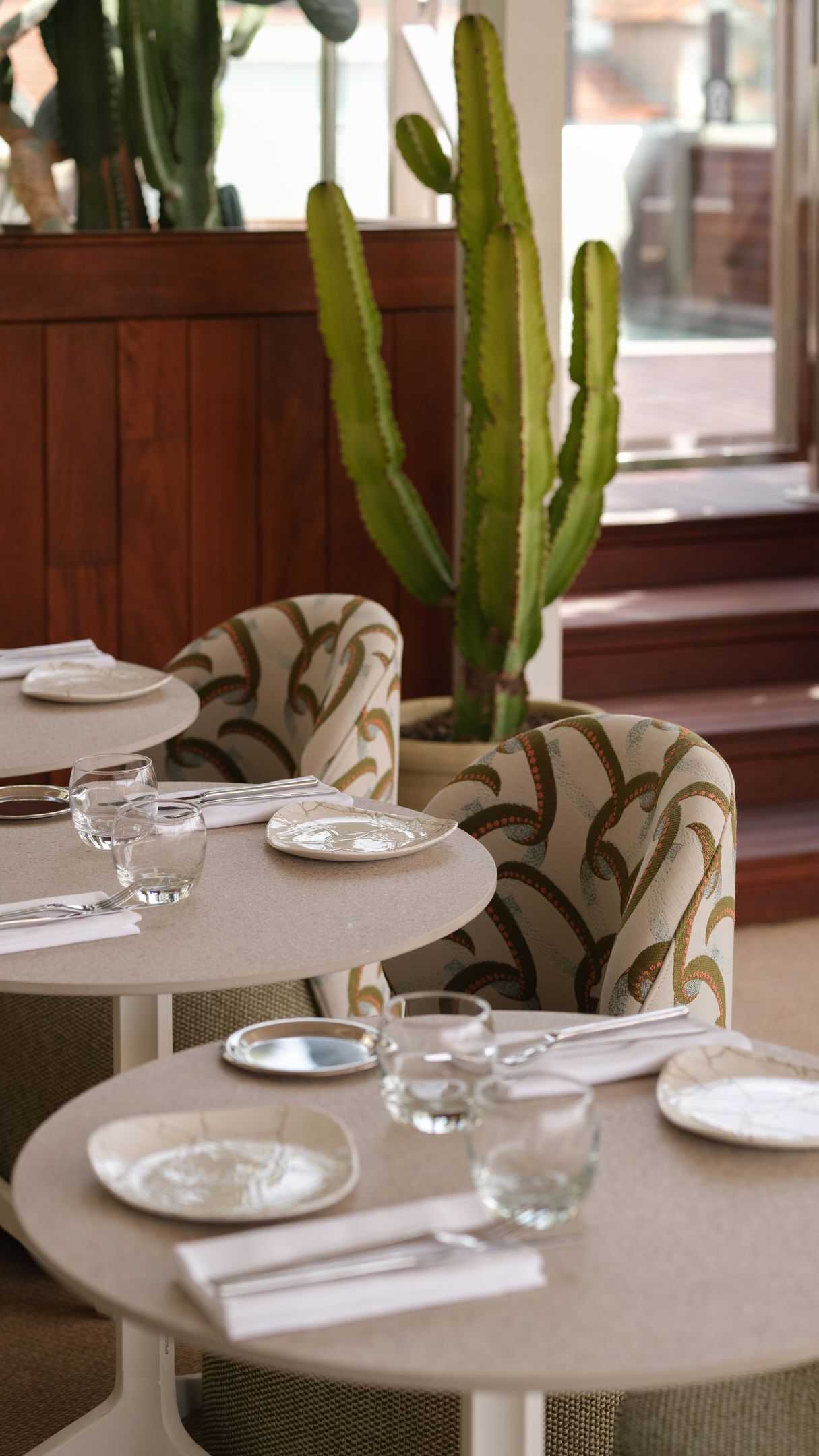 Een eetruimte met ronde tafels, stoelen en een cactus.