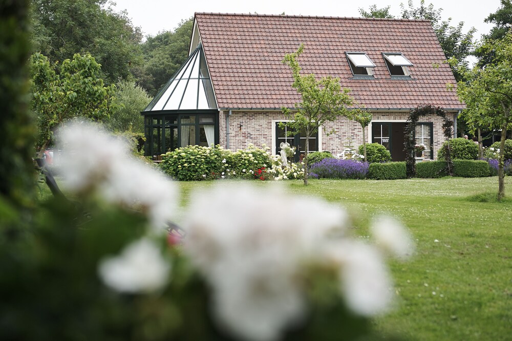 Villa Magnolia by null