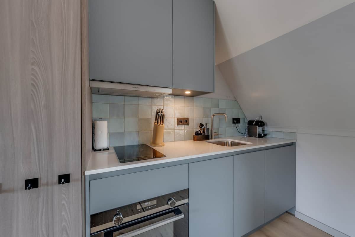 penthouse | private kitchen | fridge, microwave, electric kettle
