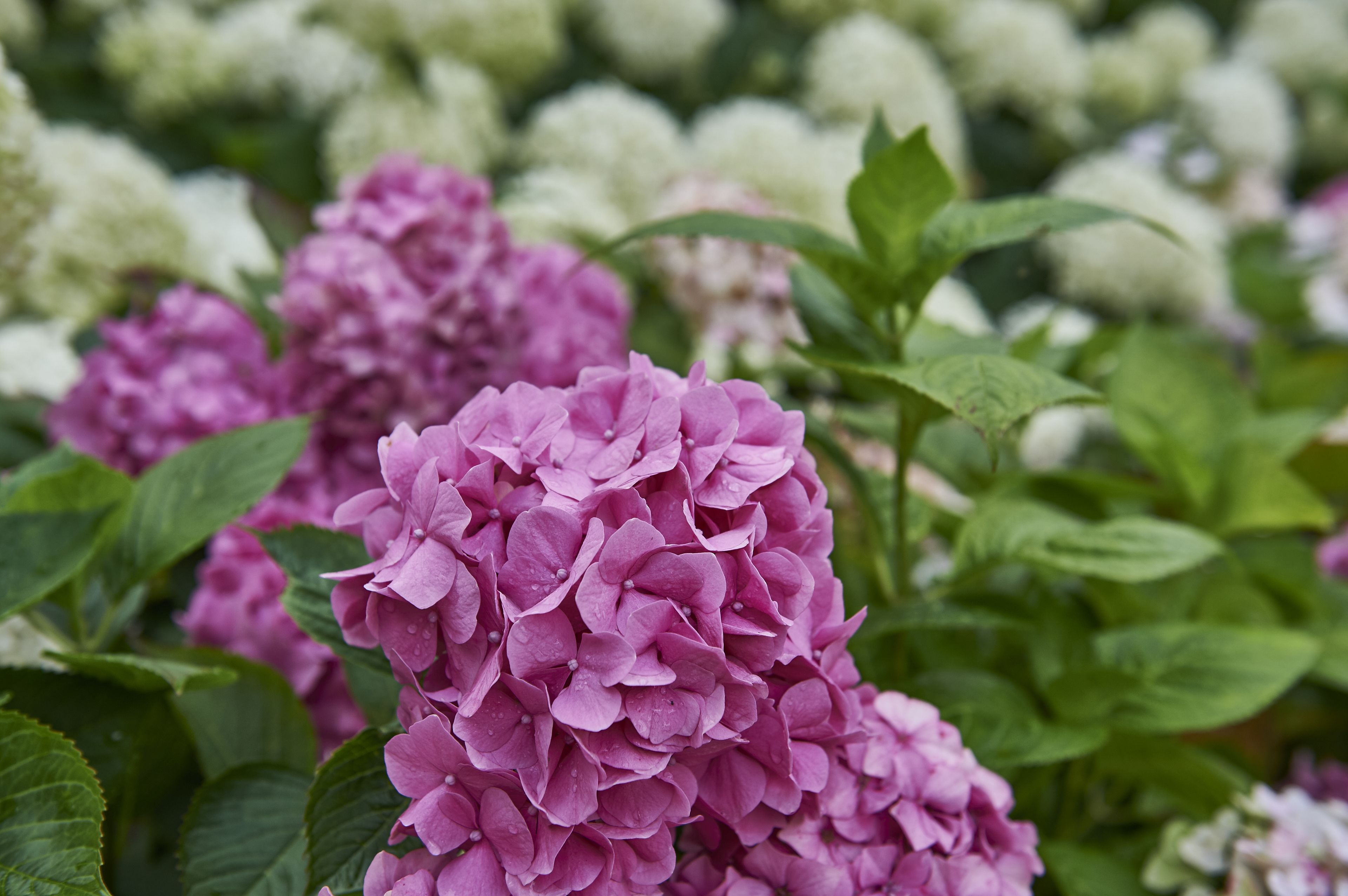 comfort double room | view from room