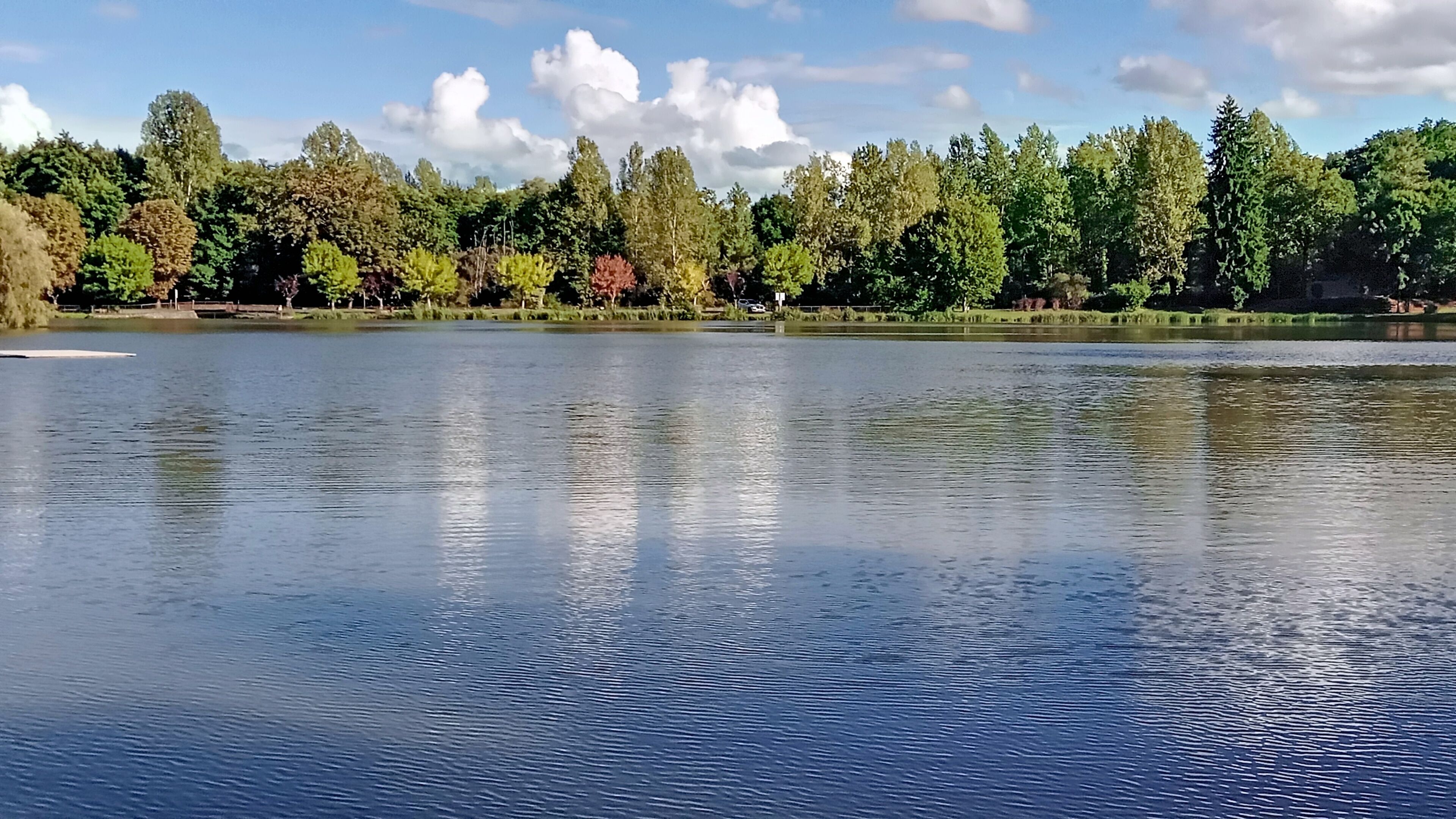 Un lac paisible, bordé d’une forêt, sous un ciel dégagé.