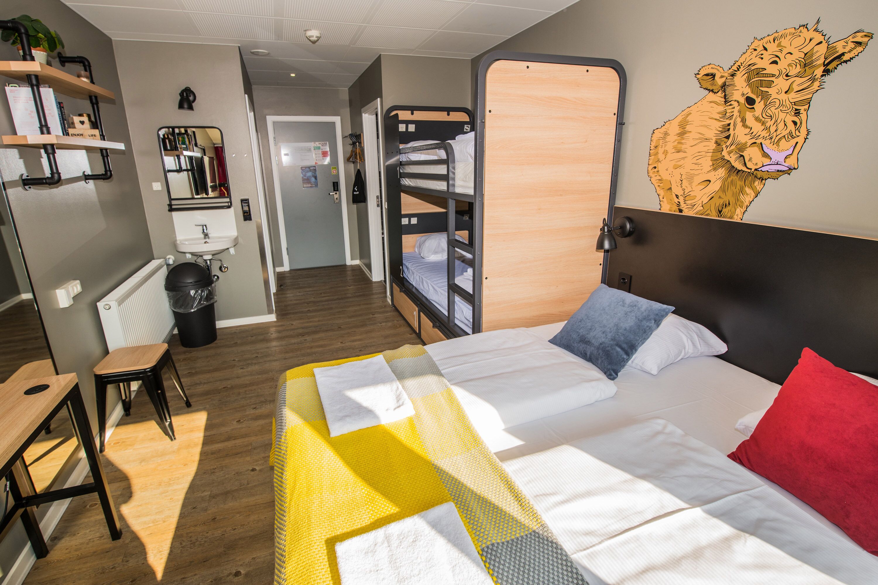 Une chambre avec des lits superposés, un bureau, une chaise, un radiateur, une poubelle et un mur décoré d’une fresque représentant une girafe.