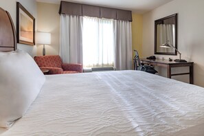 Hypo-allergenic bedding, down duvets, memory-foam beds, desk