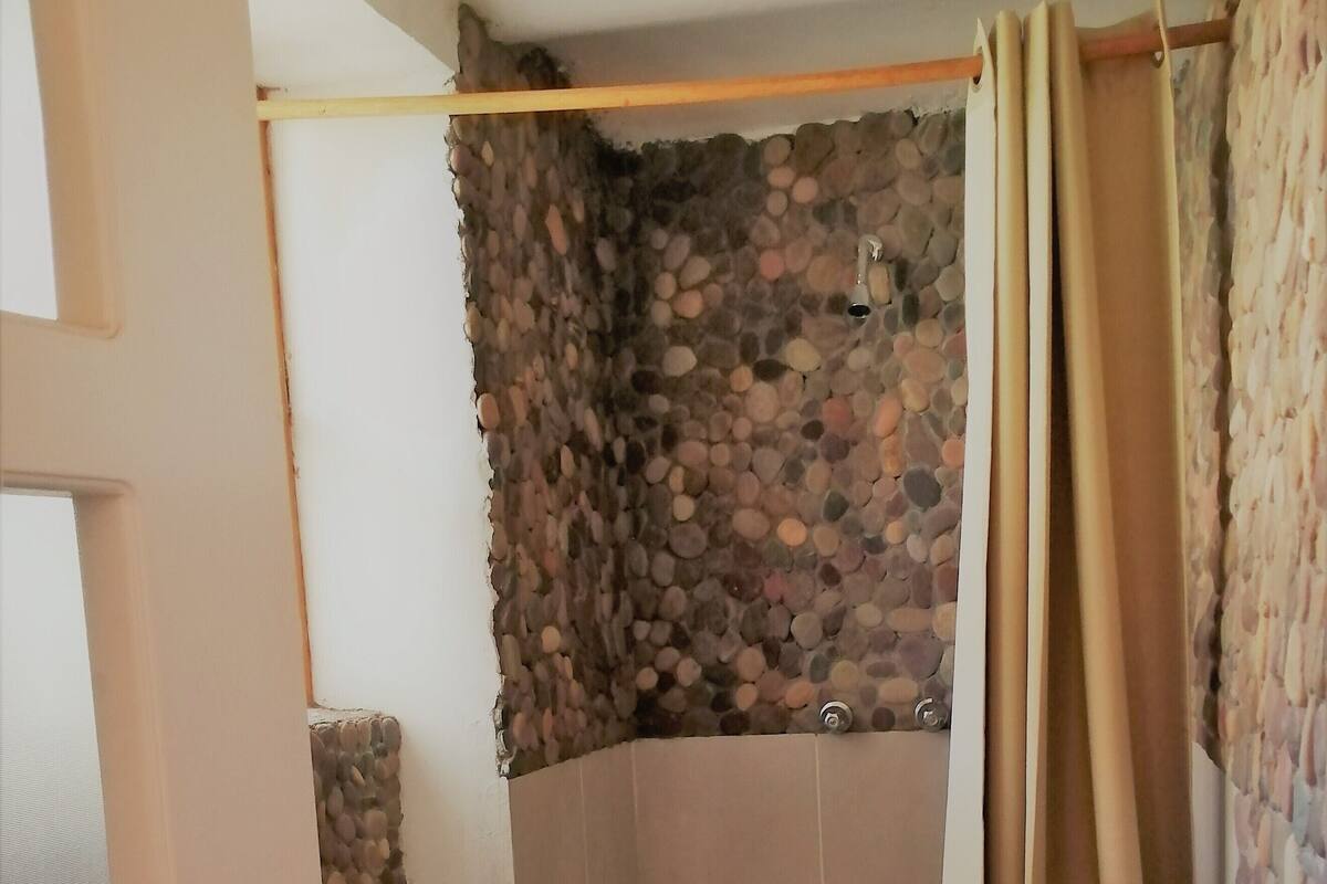 A bathroom with a toilet, shower, and a stone wall.