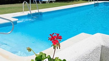 Seasonal outdoor pool, pool umbrellas, sun loungers