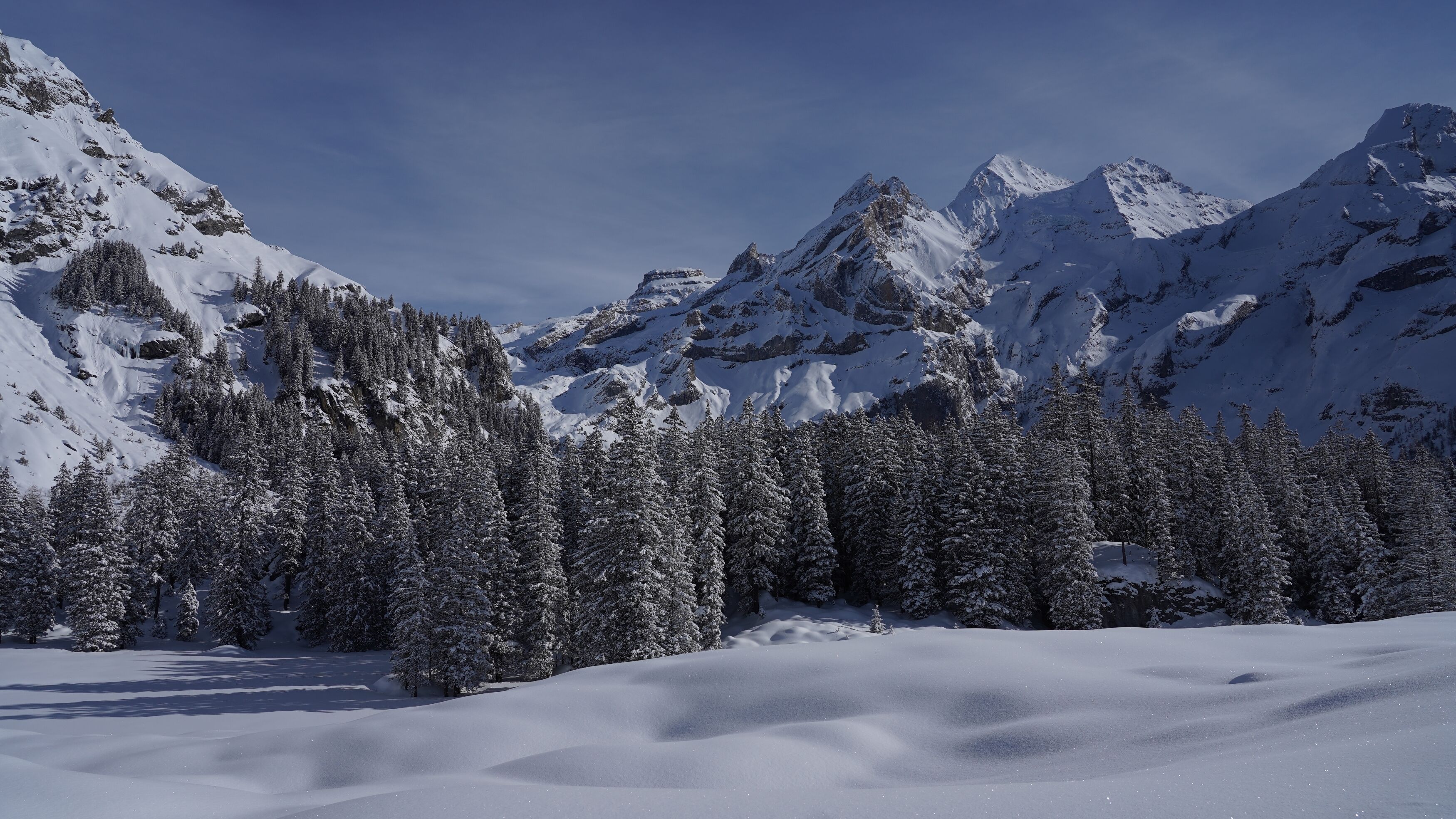 Un paysage montagneux enneigé, avec de vastes forêts et des pics escarpés.