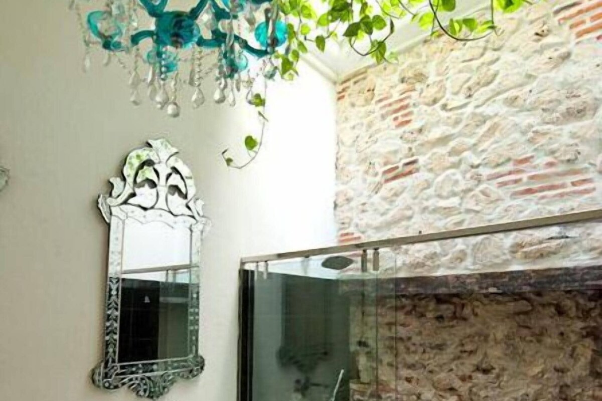 Une salle de bain avec une douche en verre, un lavabo blanc, un miroir et une plante suspendue.