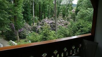 Vista da una stanza con una finestra su un rigoglioso giardino, con alberi e arbusti di diverse varietà.