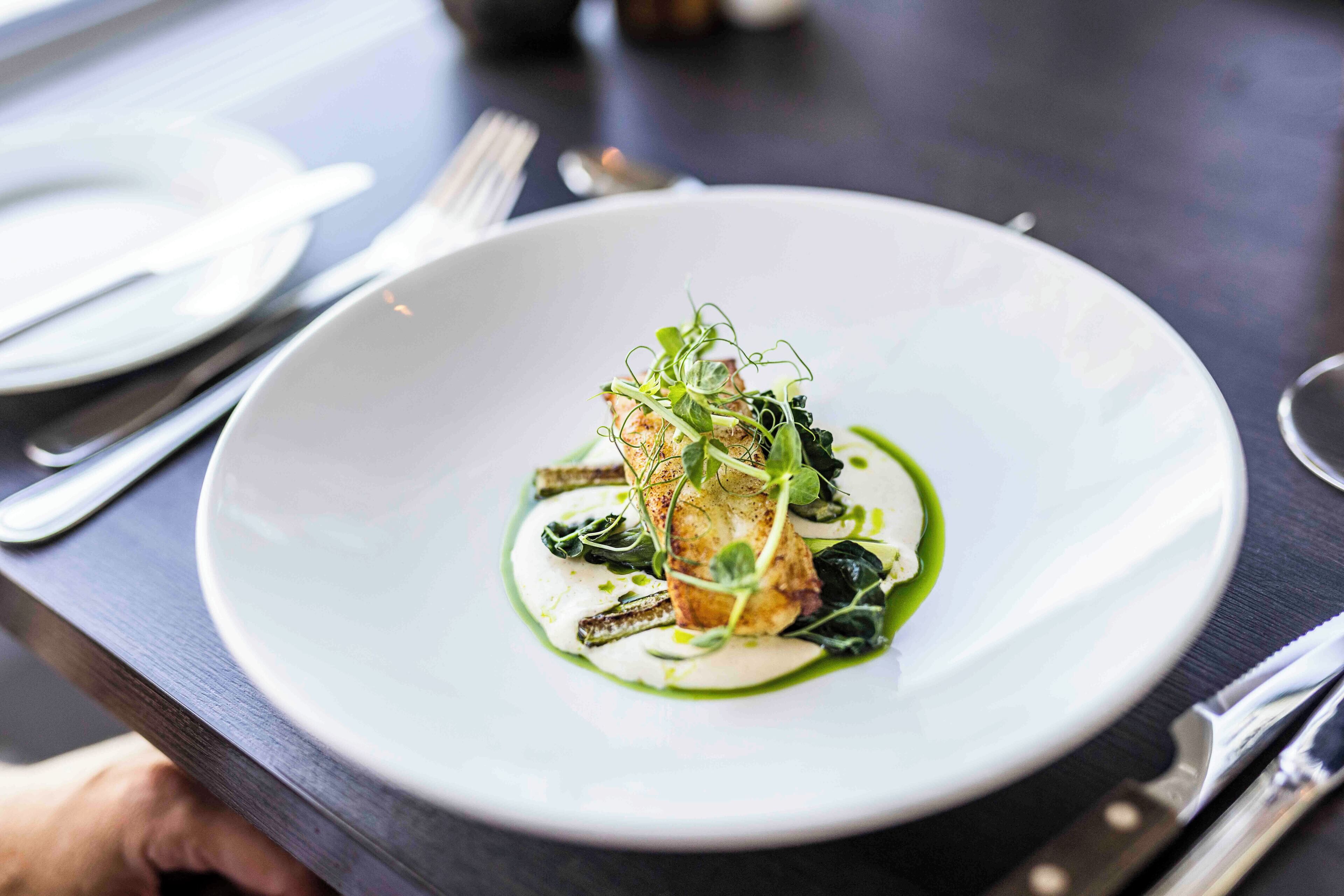 Un plato blanco con un guiso de pescado, salsa verde y vegetales sobre una mesa oscura.