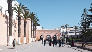 A pedestrian walkway lined with palm trees and a historic archway. - Dar Dayana (Essaouira)