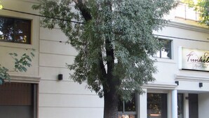 A building with a large tree in front, a sign for 'Tunkelhaus Apart Hotel', and a window with reflections of trees. - Tunkelén Apart Hotel (Mendoza)