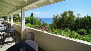 A covered outdoor seating area with tables and chairs, overlooking a lush garden and the ocean.