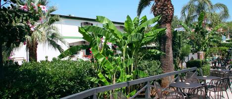 Un área de patio al aire libre con mesas y sillas, rodeada de exuberante follaje y palmeras.