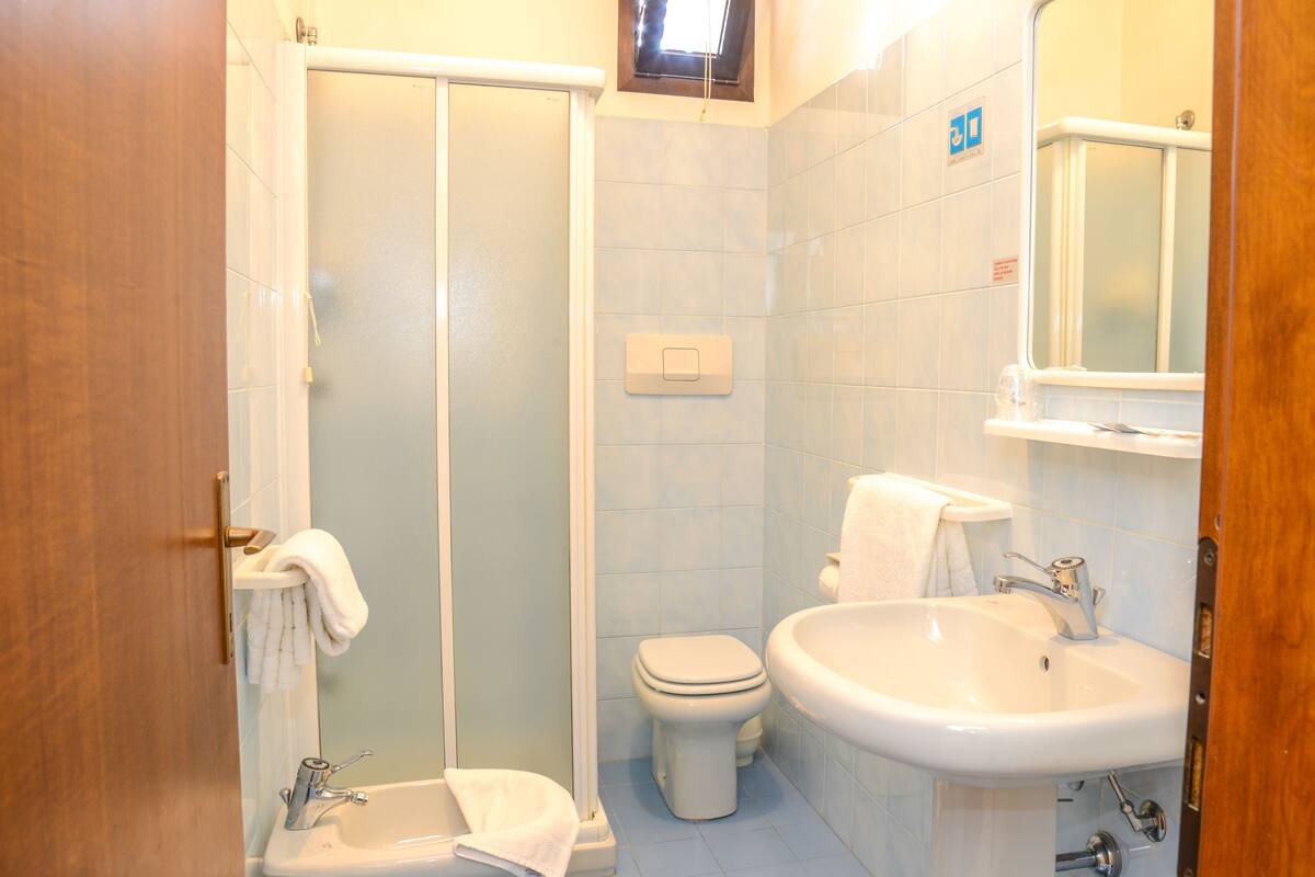 shower, hair dryer, bidet, towels